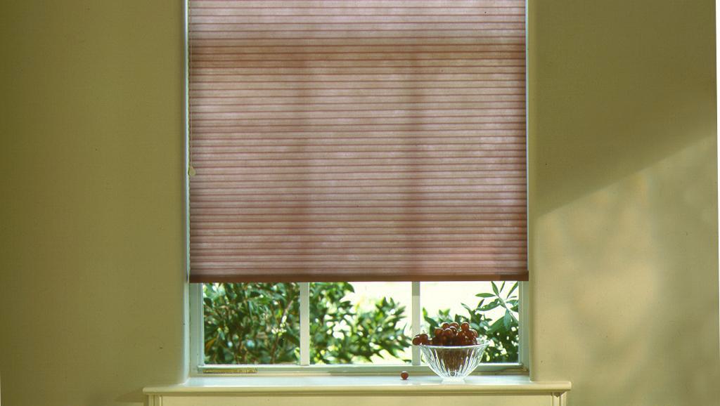Rb 500 Roller Shade System With Polyester Greenscreen Eco In Pewter By Hunterdouglas Roller Shades Living Room Window Roller Shades Blinds For Windows